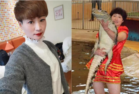 山东美女与鳄鱼相伴23年,不怕的就来 山东美女与鳄鱼相伴23年,不怕的就来